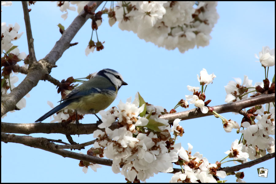 %Europe/Berlin Apr 26